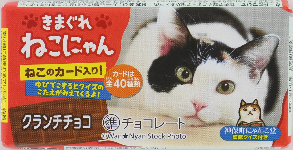 にゃんともかわいい 猫スイーツ特集 お菓子と わたし お菓子好きのための情報サイト