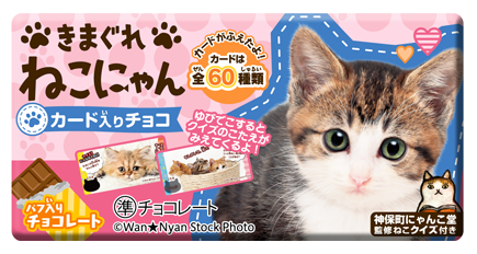 猫の日】猫好き集合！ねこがモチーフとなったお菓子をご紹介～専門店 