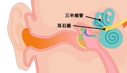 車酔い対策におすすめのお菓子 お菓子と わたし