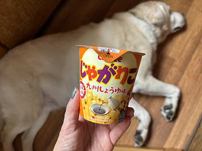 じゃがりこ 地域限定九州しょうゆ