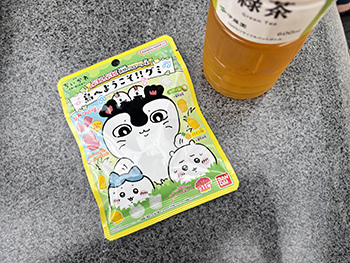 島へようこそ！！グミ