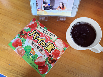 パイの実 苺の収穫