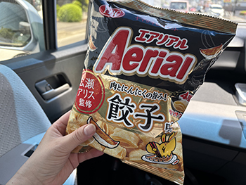 エアリアル 餃子味