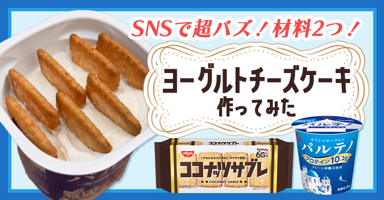 ヨーグルトチーズケーキの完成写真