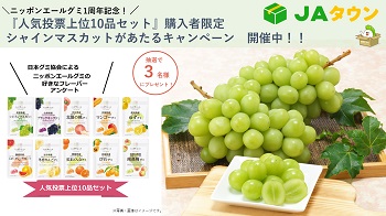 【１周年記念CP】ニッポンエールグミ人気投票上位10品セット購入で果物が当たるキャンペーンポスター