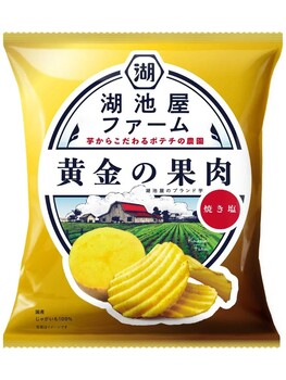 湖池屋｜湖池屋ファーム 黄金の果肉 焼き塩