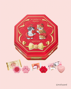 松風屋|ぷにゅっところっとmofusand