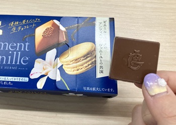 ロッテ　プレミアムガーナ 生チョコレート＜アンフィニマン ヴァニーユ＞を実食
