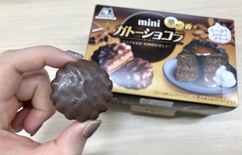 森永製菓　ミニガトーショコラを実食
