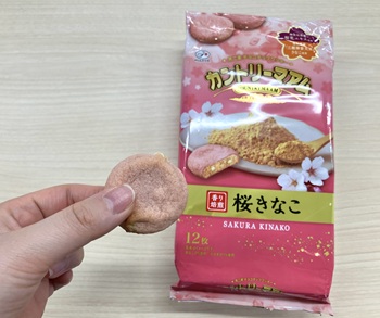 不二家　カントリーマアム（桜きなこ）を実食