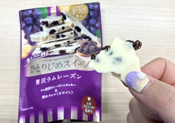 栄光堂ファクトリー　ひとりじめスイーツ 贅沢ラムレーズンを実食