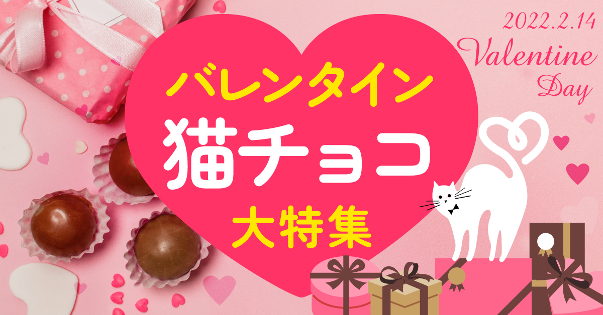 2022年バレンタインスイーツ♡】おしゃれでかわいいお菓子！猫モチーフチョコレート大特集｜お菓子と、わたし