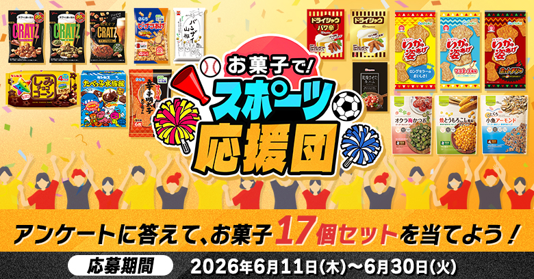 お菓子セット17品入り